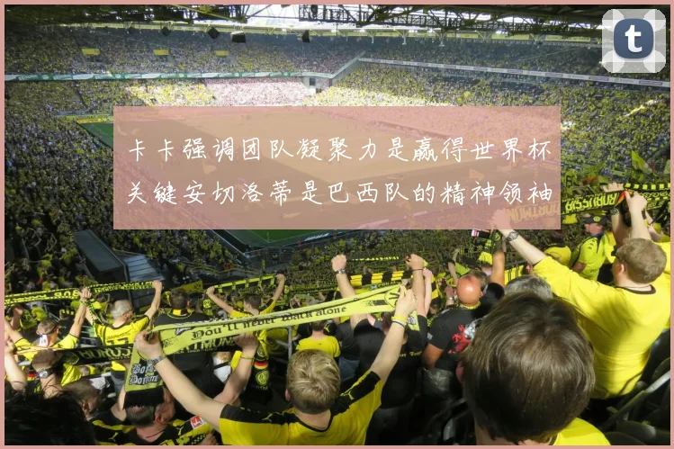 卡卡强调团队凝聚力是赢得世界杯关键安切洛蒂是巴西队的精神领袖