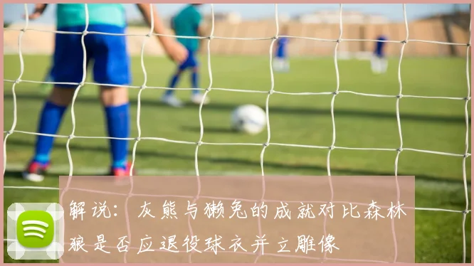 解说：灰熊与獭兔的成就对比森林狼是否应退役球衣并立雕像