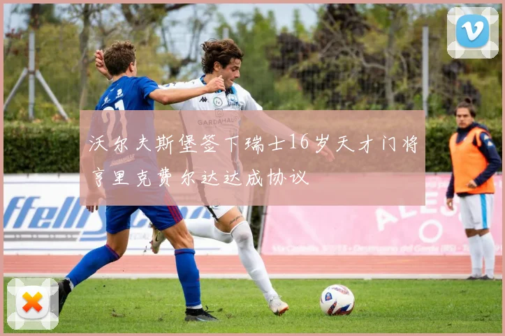 沃尔夫斯堡签下瑞士16岁天才门将亨里克费尔达达成协议